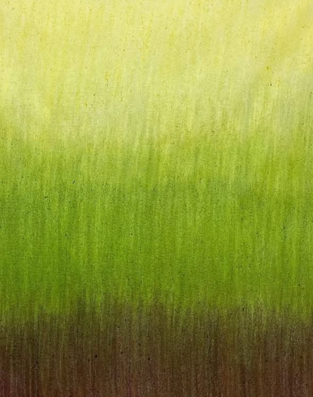 Portrait of the founder