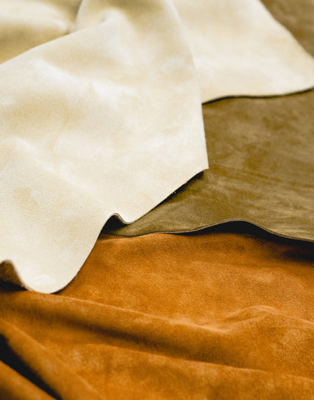 Portrait of the founder