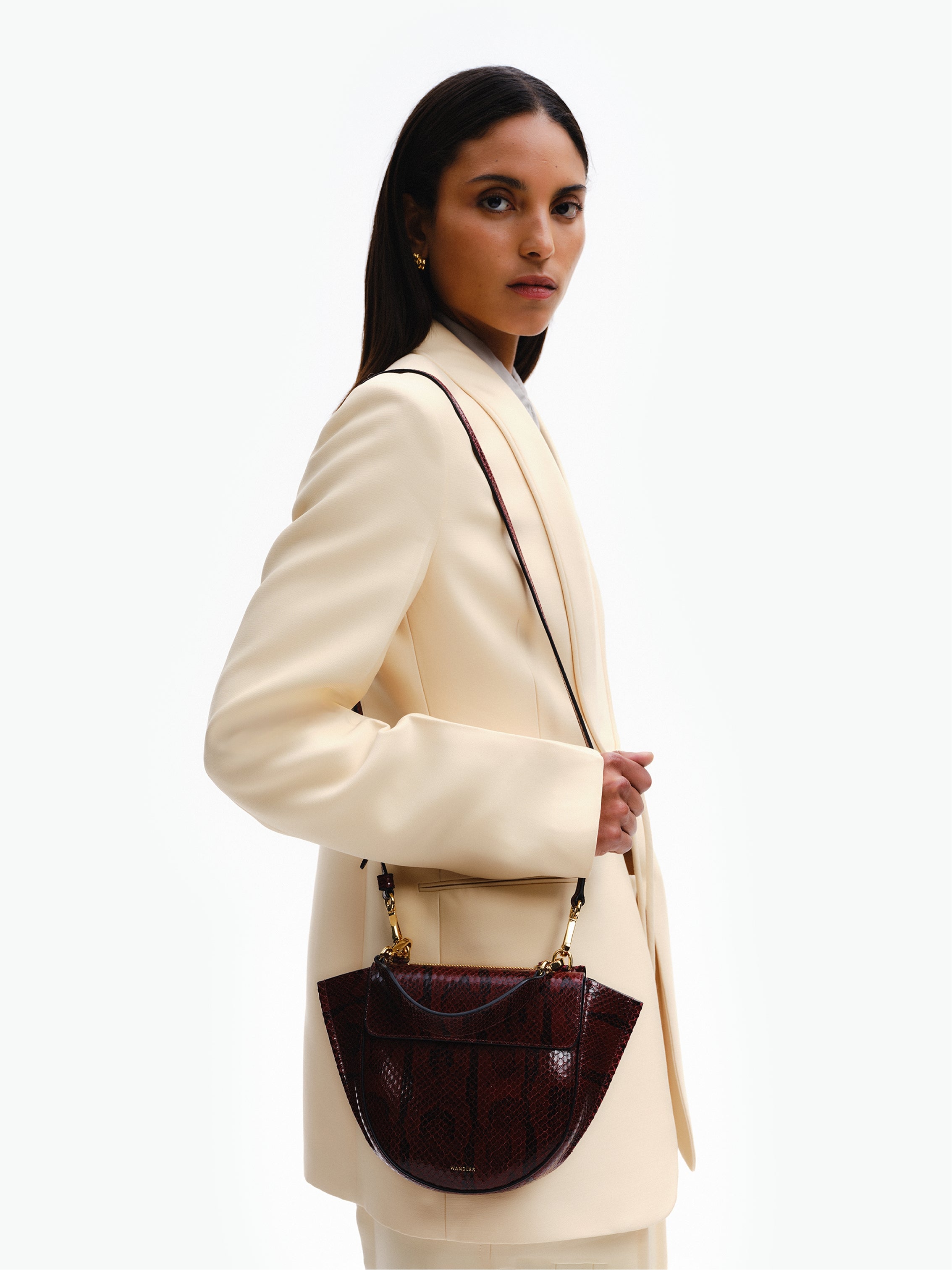Hortensia Bag Mini - Bordeaux Python