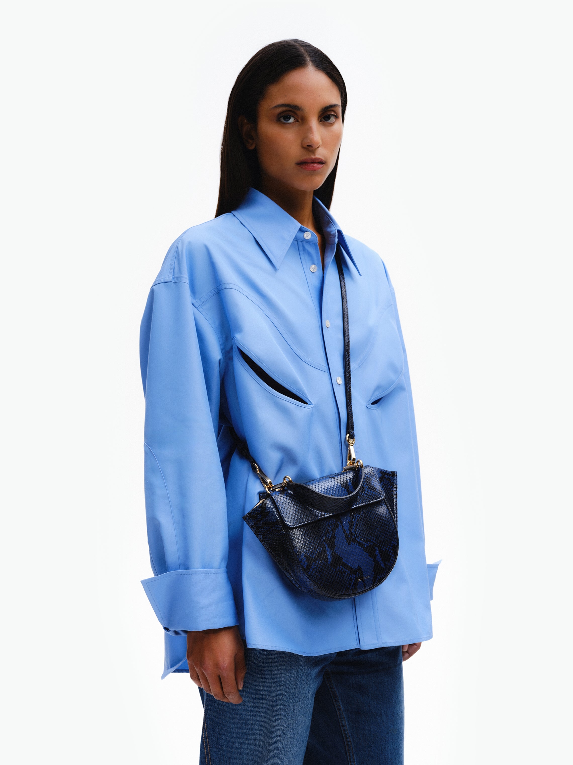 Hortensia Bag Mini - Orion Python