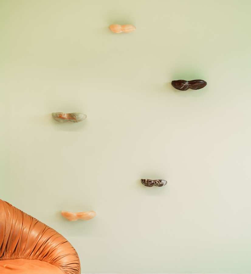 PRE ORDER Peanut Shelf Medium - Honey Onyx