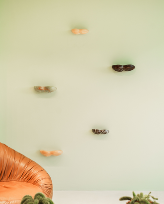 PRE ORDER Peanut Shelf Large - Verde Onyx