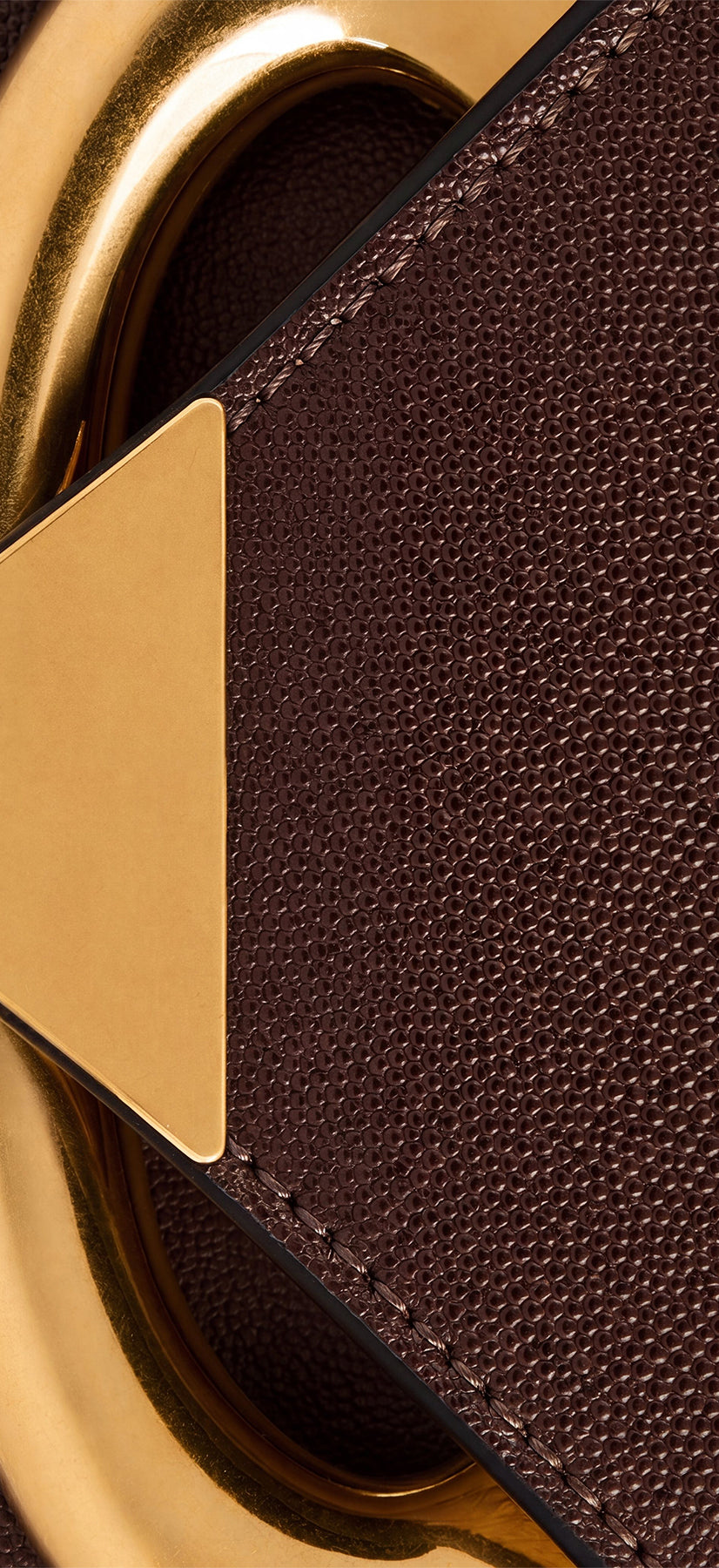 Wandler Veneto Crossbody Bag in Soil Caviar calf leather with oversized golden clasp hardware and structured silhouette, close up detailing the clasp.