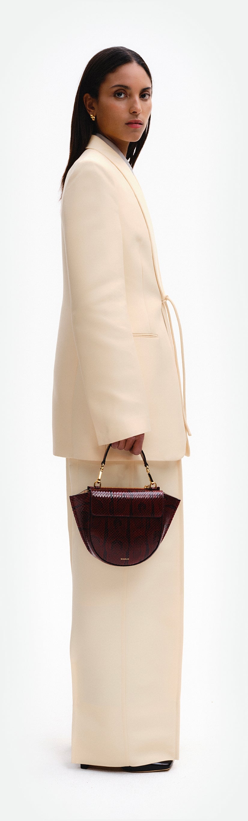 Hortensia Bag Mini - Bordeaux Python