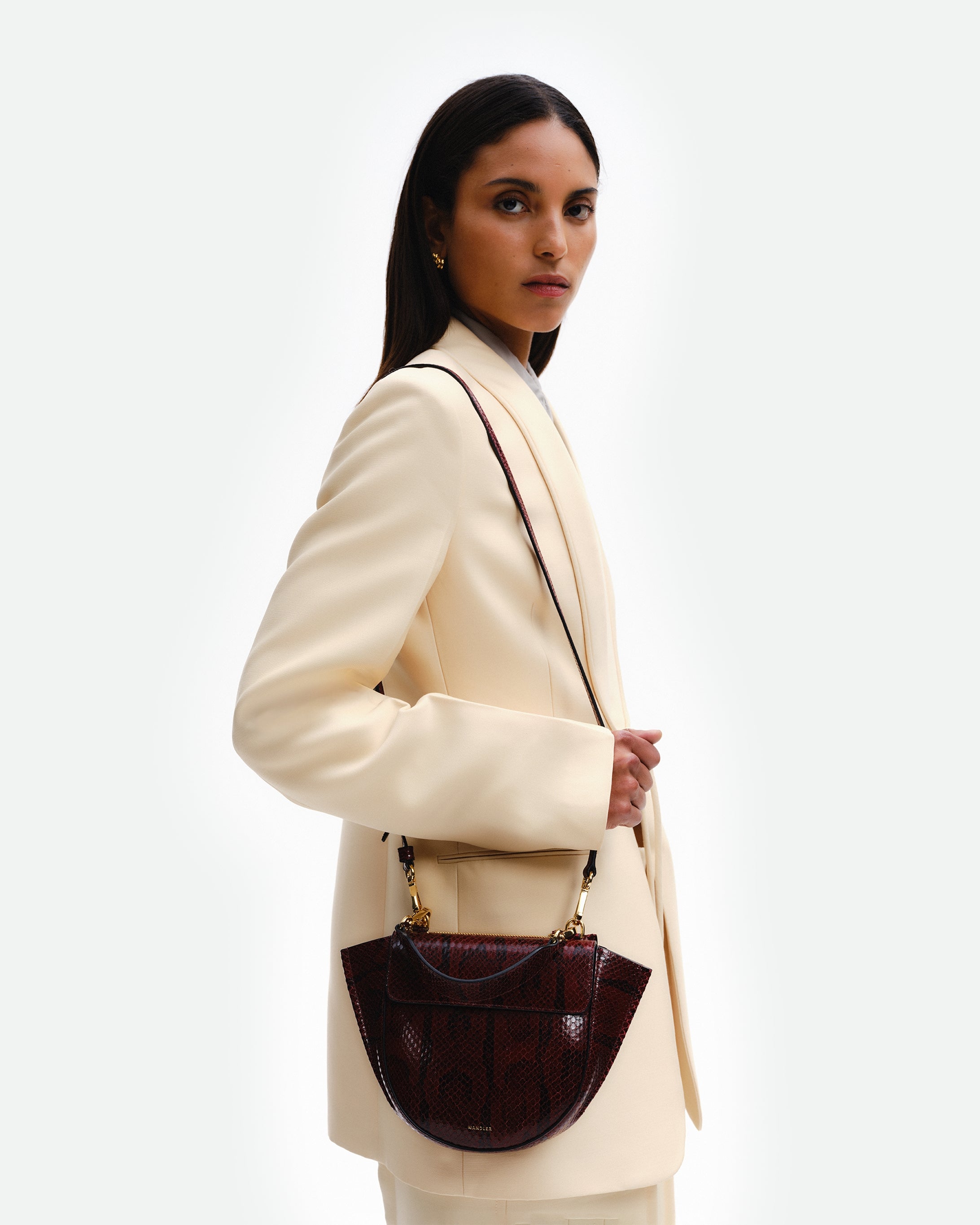 Hortensia Bag Mini - Bordeaux Python