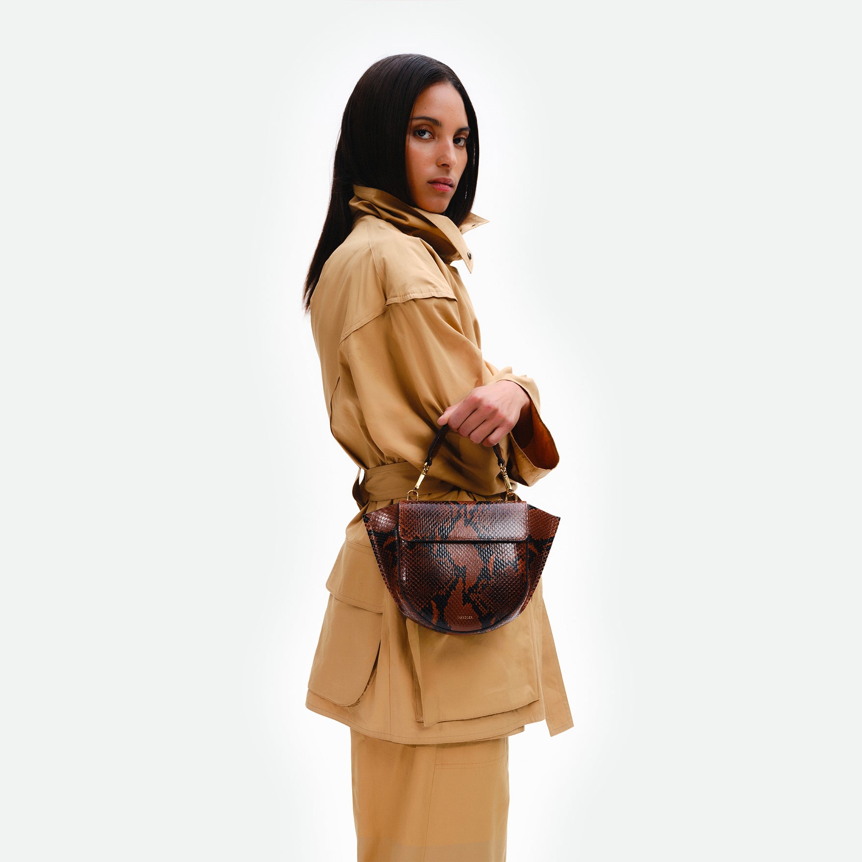 Wandler Hortensia Bag Mini in the color Brown Python, Italian calf leather with golden hardware, rounded silhouette and top handle, pictured being carried on the forearm by model.