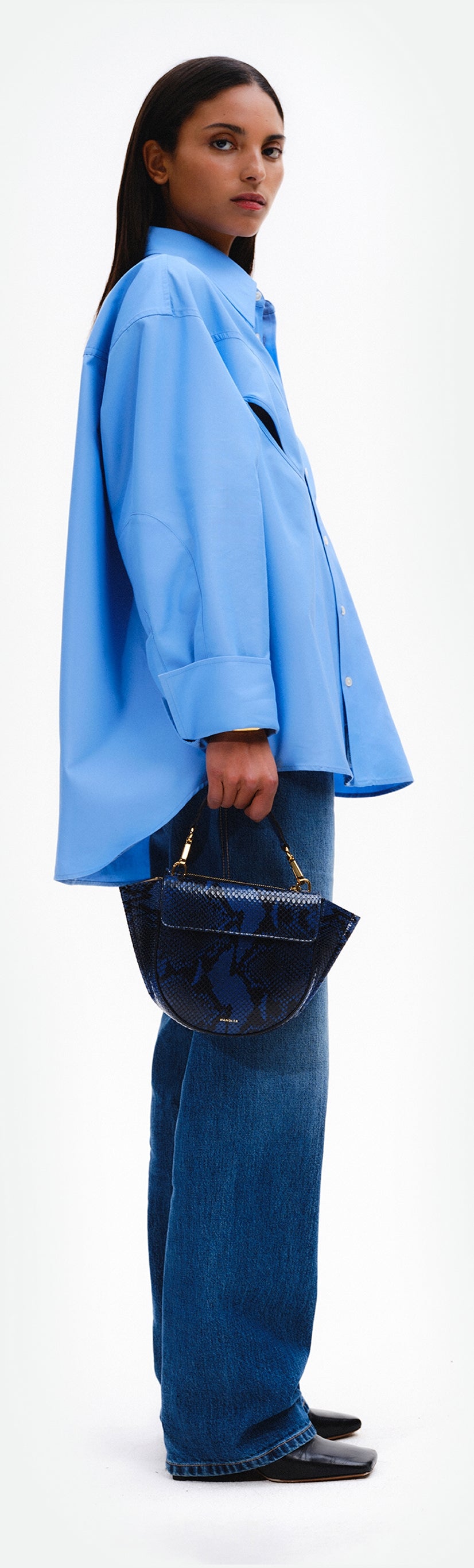 Hortensia Bag Mini - Orion Python