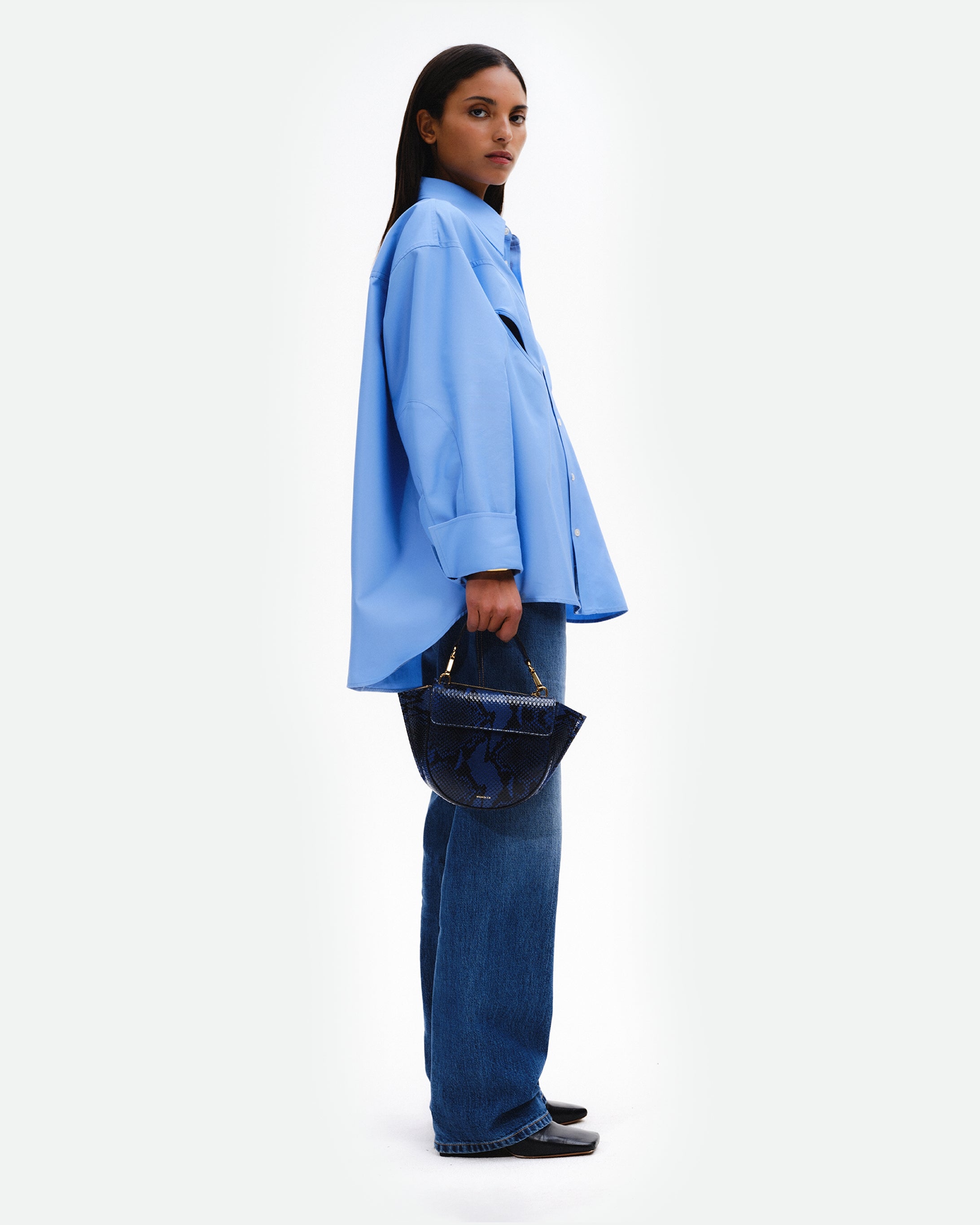 Hortensia Bag Mini - Orion Python