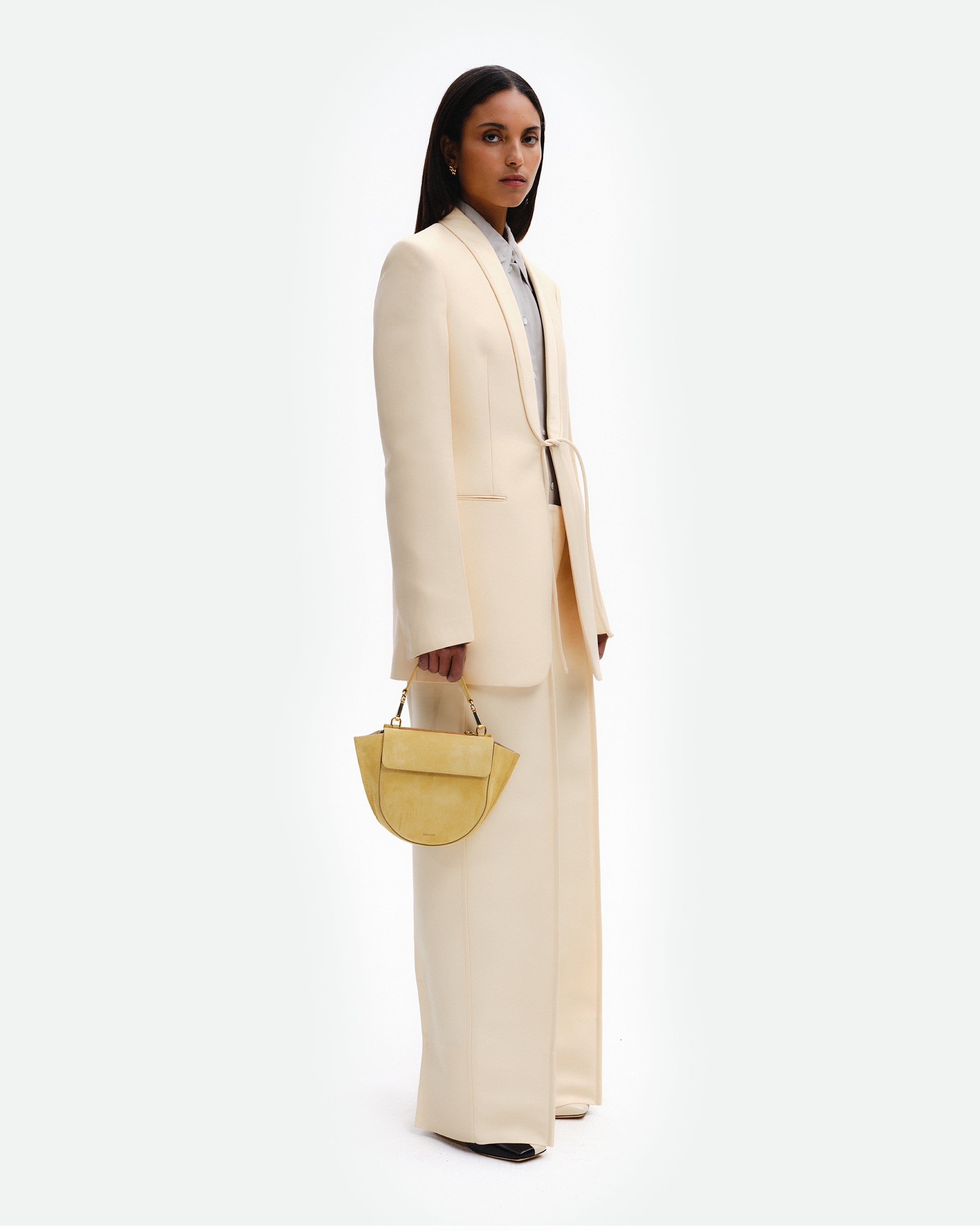 Hortensia Bag Mini - Sandy Suede