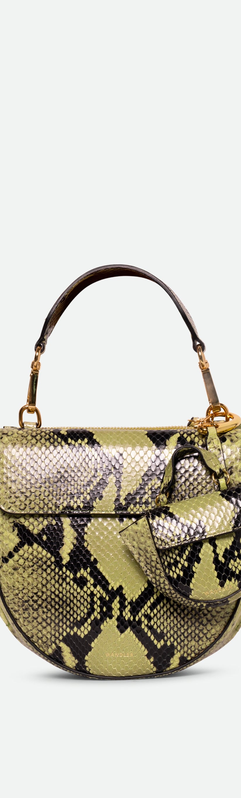 Hortensia Micro - Lime Python