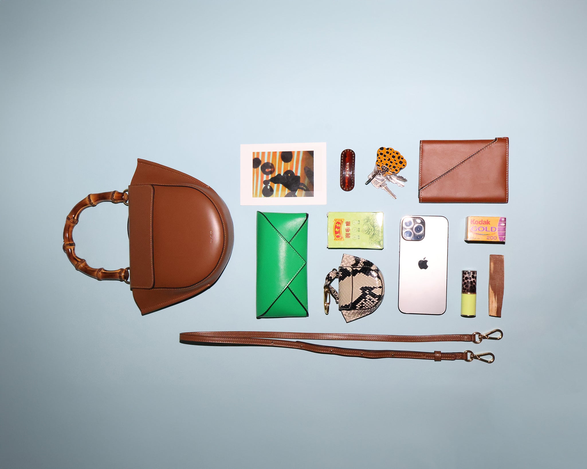 Hortensia Bag Mini - Cognac Suede – Wandler.com