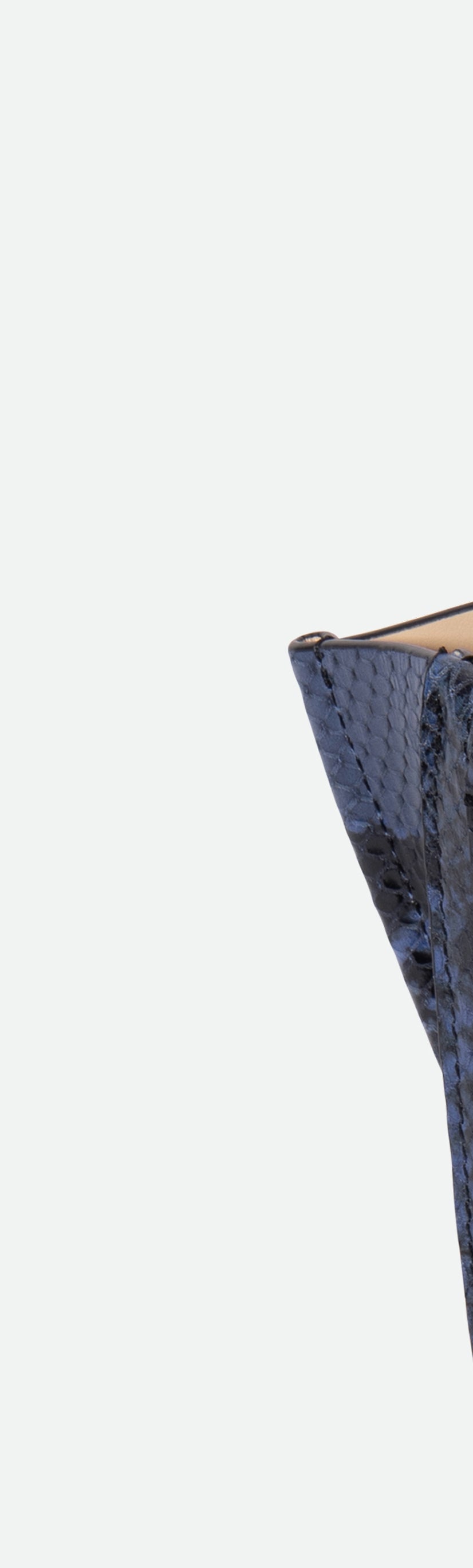 Hortensia Bag Mini - Orion Python