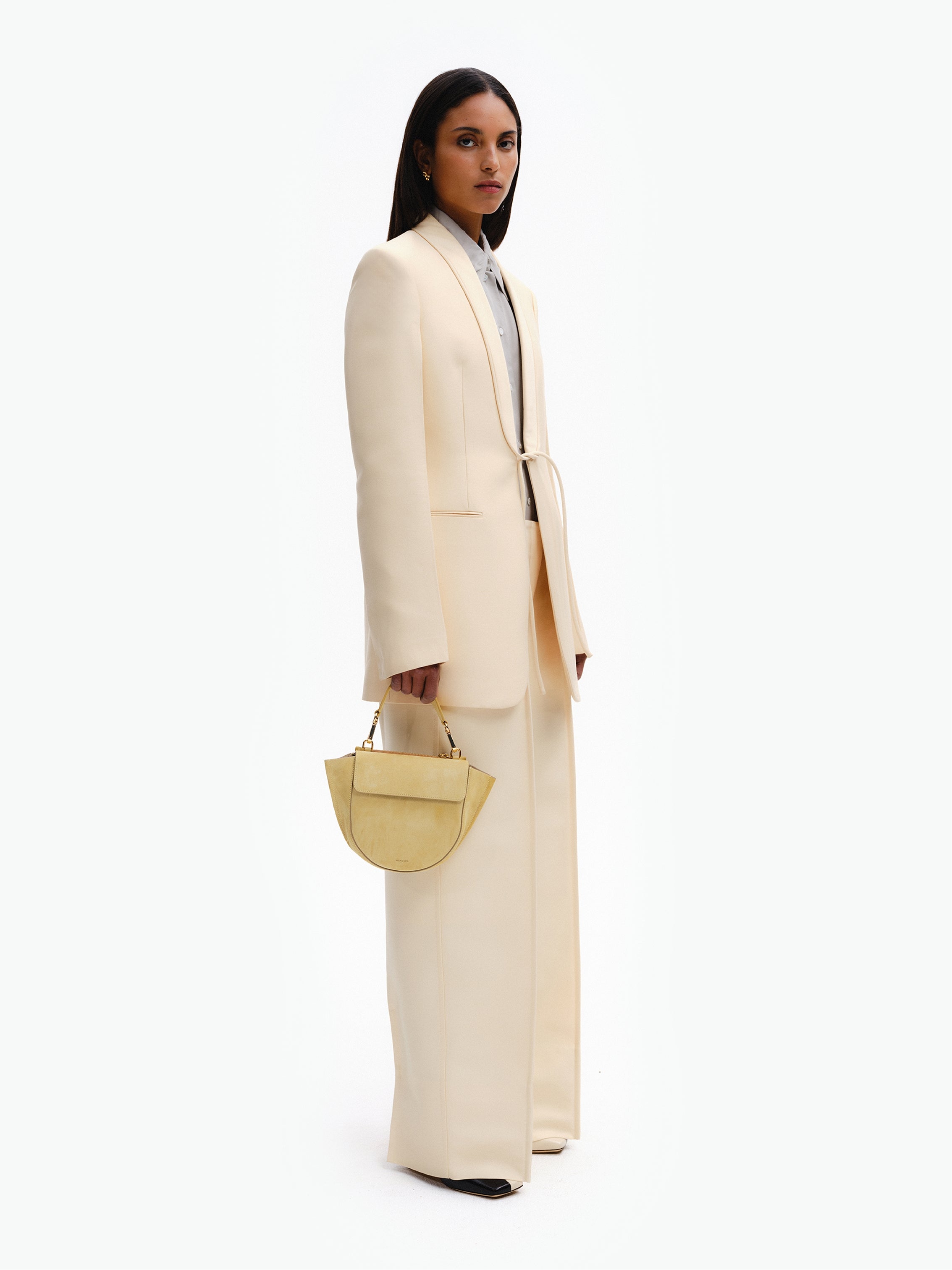 Hortensia Bag Mini - Sandy Suede